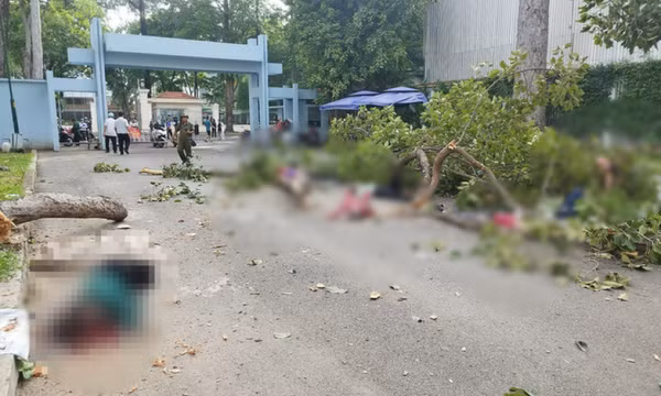 Gãy nhánh cây ở Công viên Tao Đàn, 2 người chết, 3 người bị thương