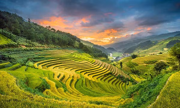 Lai Châu - Hành trình khám phá thiên nhiên hùng vĩ và văn hóa độc đáo