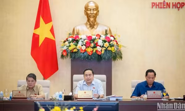 Sẽ giám sát về phát triển và sử dụng nguồn nhân lực trên phạm vi cả nước