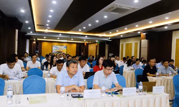 Hướng dẫn thực thi cam kết về thương mại dịch vụ logistics tại Quảng Ninh