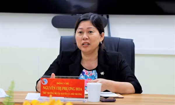 Thủ tướng giao điều hành hoạt động của Bộ Tài nguyên và Môi trường