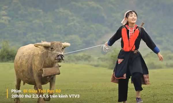 Tranh cãi quanh phim Đi giữa trời rực rỡ: Đừng nghĩ cứ khoác trang phục dân tộc vào là hiểu họ