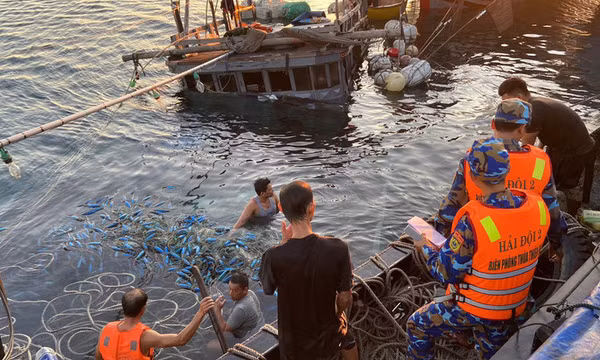 Tàu cá bị chìm khi đụng tàu chở hàng, 11 ngư dân được cứu sống