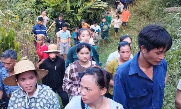 Huy động hơn 100 người tìm kiếm cháu bé 6 tuổi mất tích trong rừng sâu