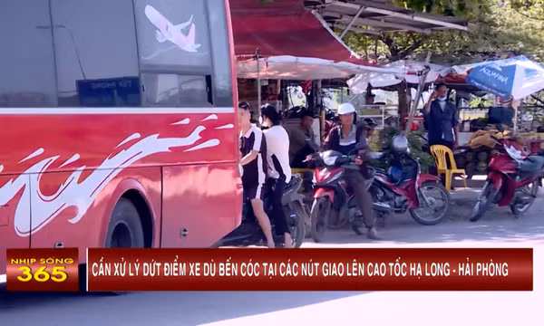 Cần xử lý dứt điểm xe dù bến cóc tại các nút giao lên cao tốc Hạ Long- Hải Phòng