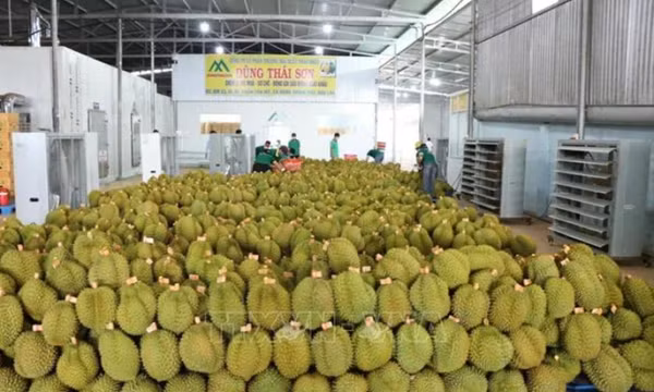 Mở rộng “cánh cửa” xuất khẩu nông sản