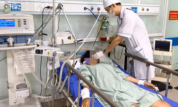 Cô gái 17 tuổi đi cấp cứu trong tình trạng nguy kịch sau khi bị ong đốt