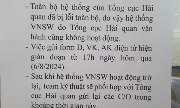 Hệ thống hải quan điện tử gián đoạn 16 giờ