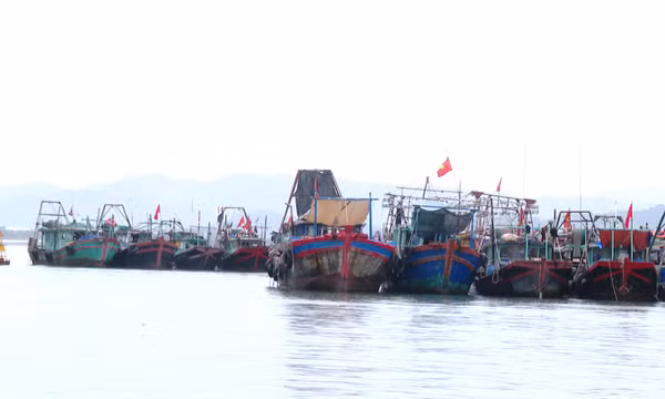 Mạnh tay với vi phạm về IUU