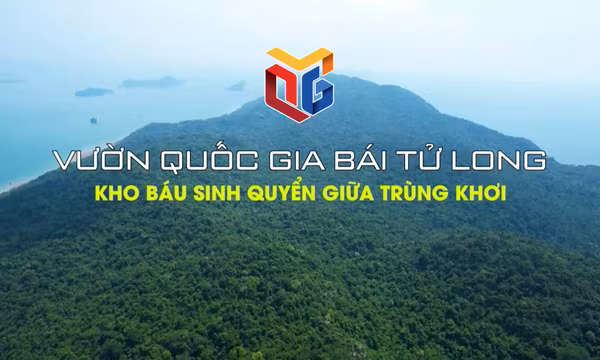 Vườn quốc gia Bái Tử Long – Kho báu sinh quyển giữa trùng khơi