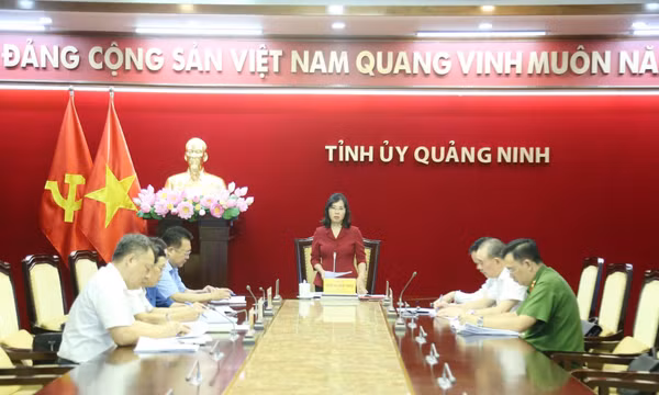 Họp Thường trực Ban Chỉ đạo phòng, chống tham nhũng, tiêu cực tỉnh