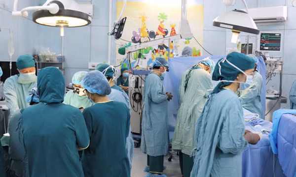Thành lập Hội đồng Y khoa Quốc gia
