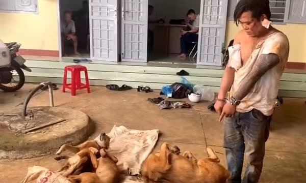 Bắt đối tượng trộm chó dùng dao đâm chủ nhà trọng thương