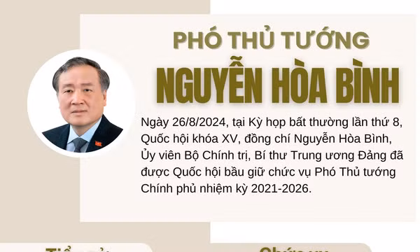 Tiểu sử Phó Thủ tướng Chính phủ Nguyễn Hòa Bình