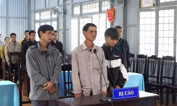Phá rừng tự nhiên, 3 đối tượng lĩnh tổng 6 năm tù
