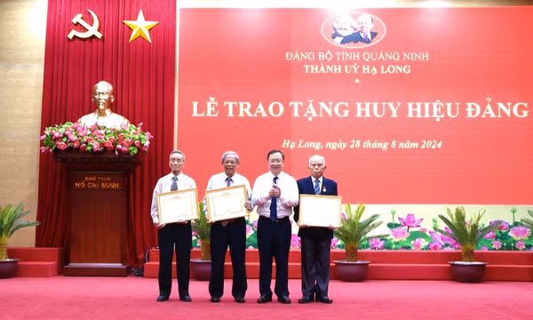 Trao tặng Huy hiệu Đảng và kết nạp Đảng viên dịp Quốc khánh 2/9