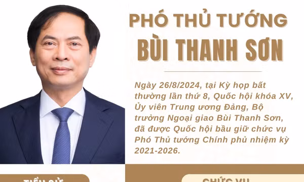 Tiểu sử Phó Thủ tướng Chính phủ Bùi Thanh Sơn