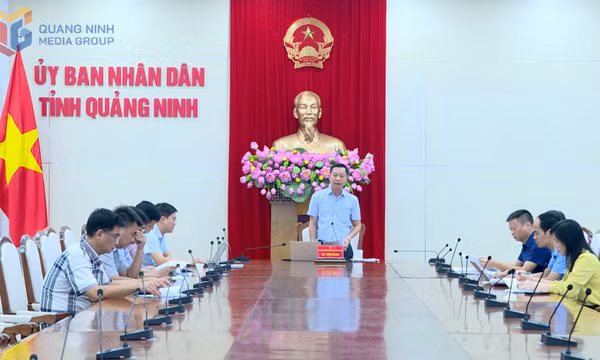 UBND tỉnh cho ý kiến vào dự thảo hướng dẫn về bồi thường, hỗ trợ và tái định cư