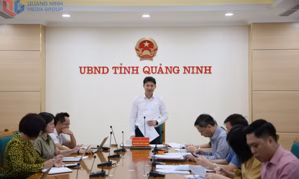Khẩn trương hoàn thành chiến dịch làm giàu, làm sạch Cơ sở dữ liệu quốc gia về đất đai