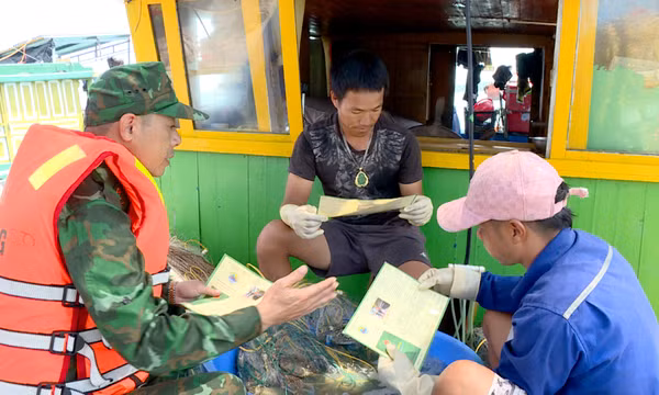 Quyết liệt chống khai thác thủy sản trái phép (IUU)