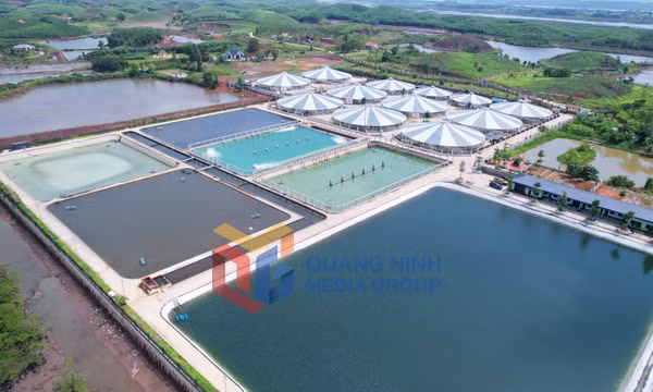 HTX Nuôi tôm công nghệ cao Cẩm Phả