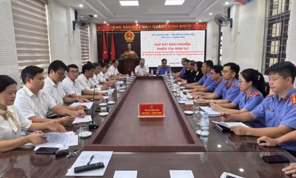 Ngành Tòa án tỉnh: Tinh gọn và hiệu quả