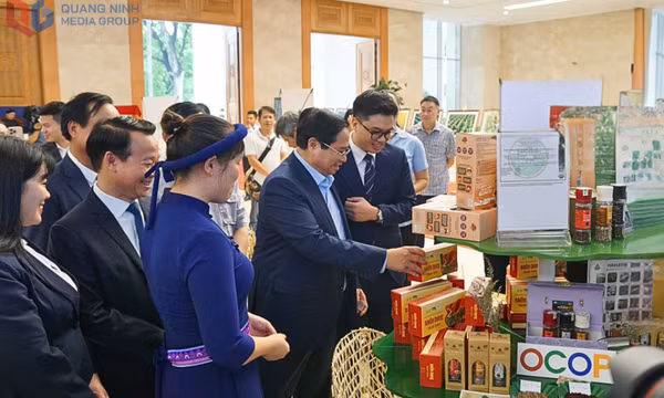 OCOP Quảng Ninh nhanh nhạy trước xu hướng mới