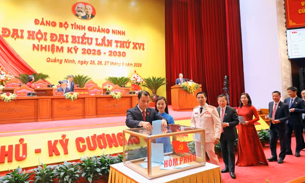 Bầu Đoàn đại biểu đi dự Đại hội đại biểu toàn quốc lần thứ XIV của Đảng và thảo luận tại hội trường
