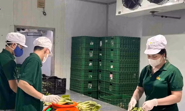 Xây dựng thương hiệu để nông sản Việt vươn xa