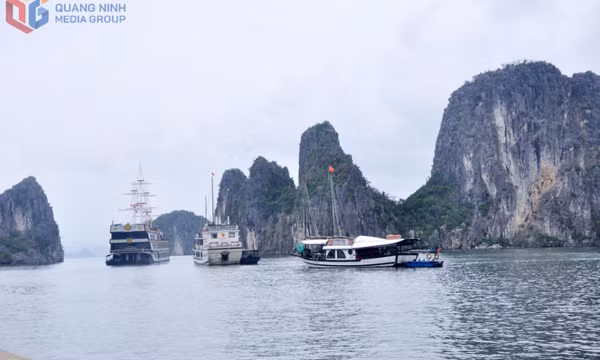 “Dám thử nghiệm để thu hút dòng khách chi trả cao”