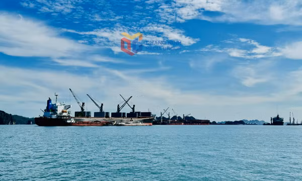Hiện thực hóa cảng Con Ong - Hòn Nét thành trung tâm logistics chiến lược