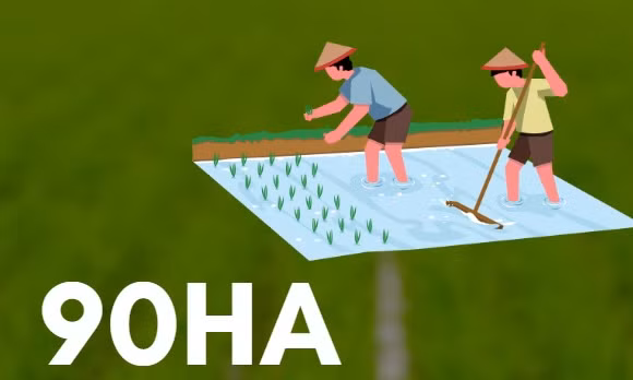 90ha - là diện tích canh tác xen lúa - rươi - cáy theo hướng hữu cơ trên toàn tỉnh hiện nay
