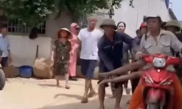 Đi cắt cỏ, người đàn ông ở Nghệ An bị ong đốt tử vong