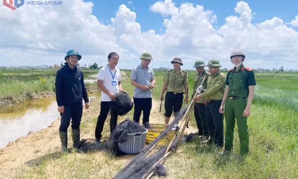 Ngăn chặn tình trạng săn bắt chim di cư, hoang dã