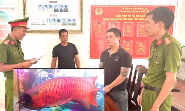 Khởi tố đối tượng trộm cá huyết long
