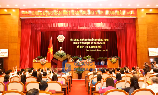Kỳ họp thứ 31, HĐND tỉnh khóa XIV, tháng 9-2025