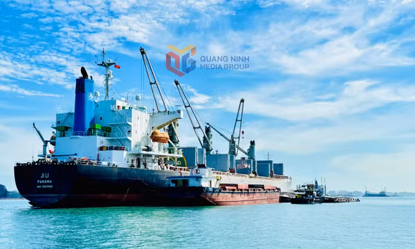 Nâng cao chất lượng điều hành thu ngân sách nhà nước