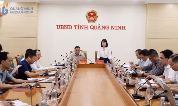 Đoàn công tác Bộ Nông nghiệp và Môi trường làm việc, tháo gỡ một số vướng mắc tại Quảng Ninh