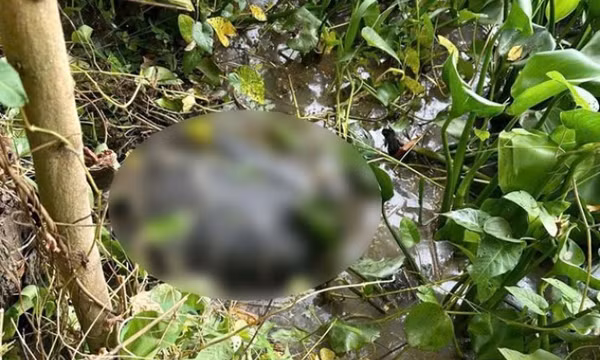 Lời khai ban đầu của nghi phạm giết người phi tang dưới kênh ở Tây Ninh