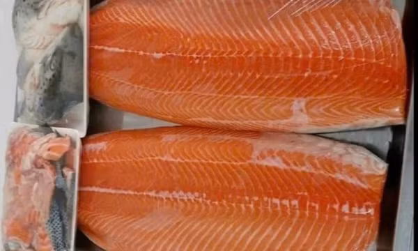 Mách bạn cách rã đông cá hồi nhanh, giữ được độ tươi ngon