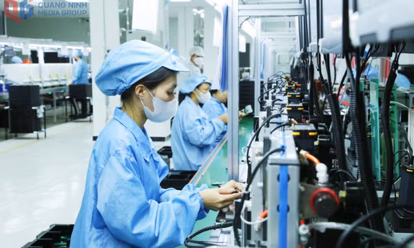Đột phá từ Nghị quyết 01