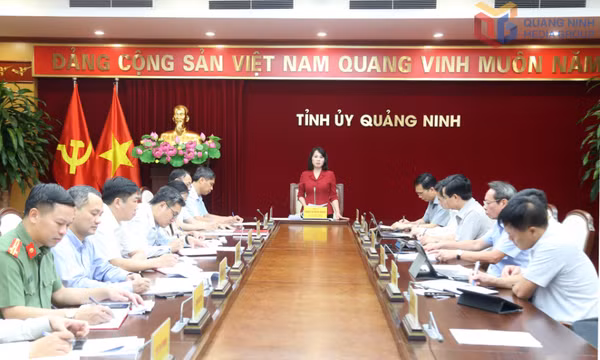 Khẩn trương thực hiện tốt các nhiệm vụ, góp phần tổ chức thành công Đại hội Đảng bộ tỉnh