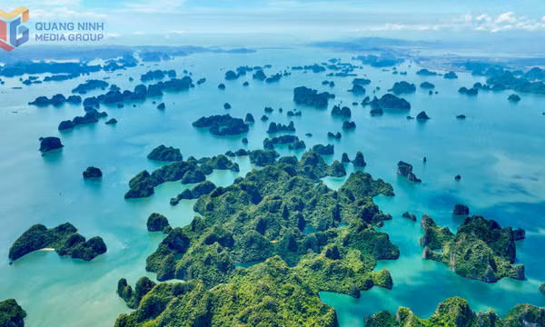 Ngắm vịnh Hạ Long đẹp say lòng