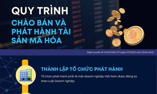 Chi tiết về quy trình chào bán và phát hành tài sản mã hóa tại Việt Nam