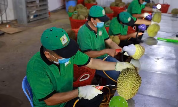 Tăng cường quản lý chất lượng nông sản xuất khẩu