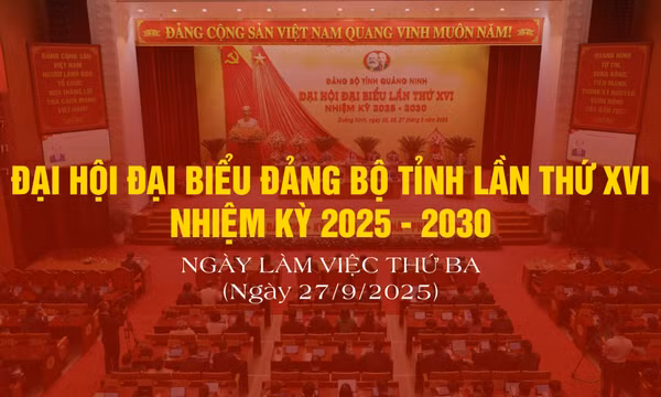 Ngày làm việc thứ 3 Đại hội Đại biểu Đảng bộ tỉnh lần thứ XVI, nhiệm kỳ 2025-2030