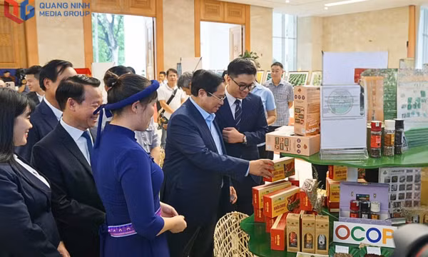 Vươn xa OCOP Quảng Ninh
