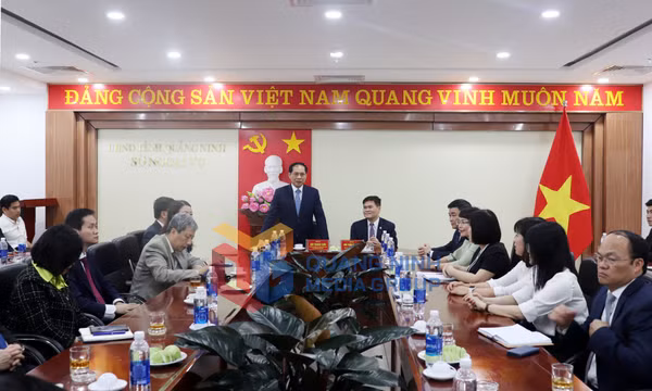 Đoàn công tác Bộ Ngoại giao làm việc với Ban Thường vụ Tỉnh ủy, tháng 3-2023
