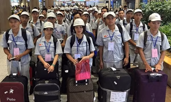 Quy định mới nhất về hỗ trợ người lao động Việt Nam làm việc ở nước ngoài