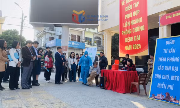 Chủ động phòng ngừa bệnh dại
